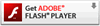 Get Adobe Flash link